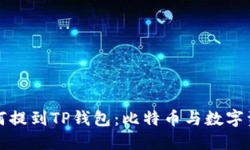 聪本聪如何提到TP钱包：比特币与数字资产的未来