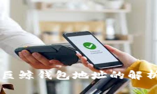 比特币巨鲸钱包地址的解析与应用