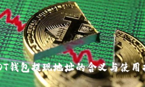 USDT钱包提现地址的含义与使用指南