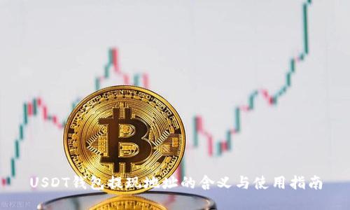 USDT钱包提现地址的含义与使用指南