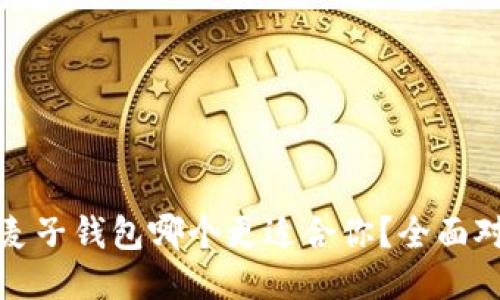 TP钱包与麦子钱包哪个更适合你？全面对比与评测