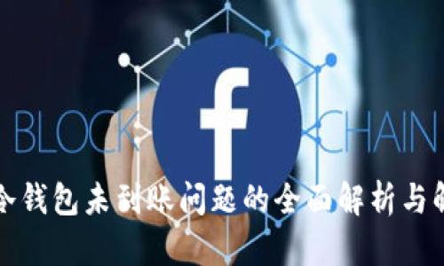比特币冷钱包未到账问题的全面解析与解决方案