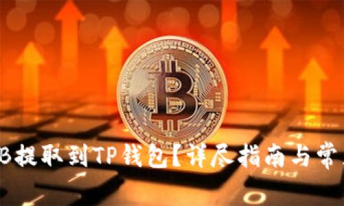 如何将SHIB提取到TP钱包？详尽指南与常见问题解答