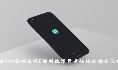 转账后的TRX会回来吗？解析数字货币的转账安全与恢复策略