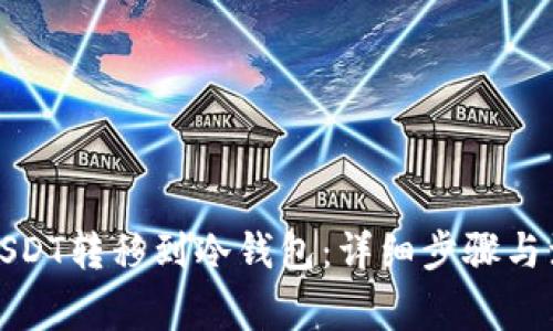 如何将USDT转移到冷钱包：详细步骤与注意事项