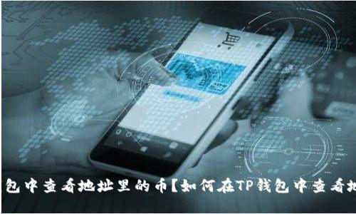 如何在TP钱包中查看地址里的币？如何在TP钱包中查看地址里的币？