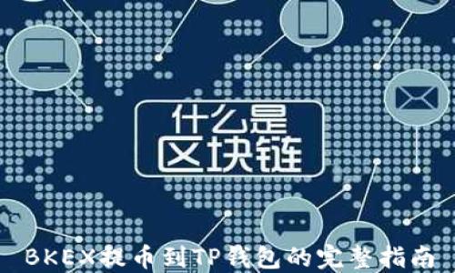 
BKEX提币到TP钱包的完整指南