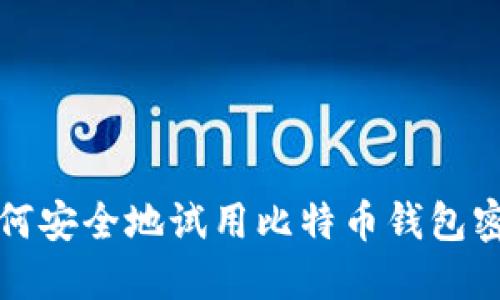  如何安全地试用比特币钱包密码？