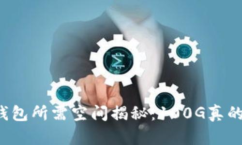 比特币钱包所需空间揭秘：100G真的必要吗？