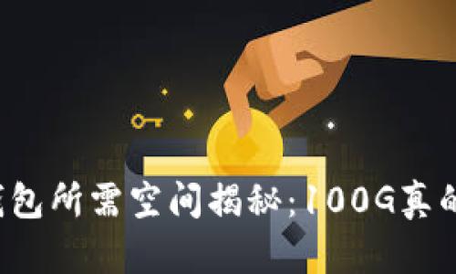 比特币钱包所需空间揭秘：100G真的必要吗？