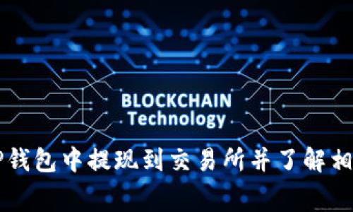 如何在TP钱包中提现到交易所并了解相关手续费