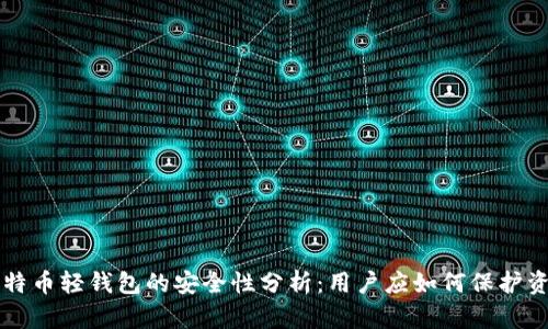 比特币轻钱包的安全性分析：用户应如何保护资产