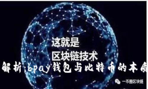 深入解析：bpay钱包与比特币的本质区别