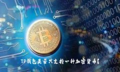 TP钱包是否只支持一种加密