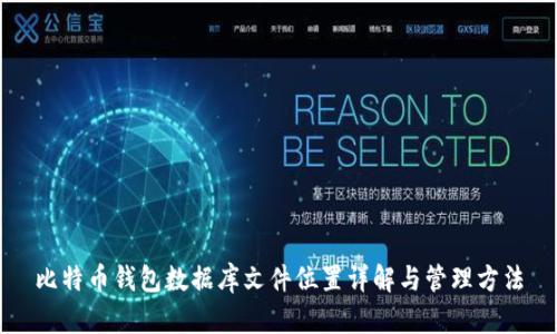 比特币钱包数据库文件位置详解与管理方法