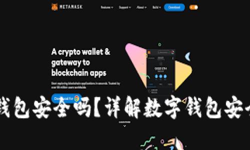 百度下载的TP钱包安全吗？详解数字钱包安全性与使用指南