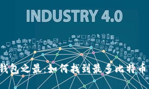 比特币钱包之最：如何找到最多比特币的钱包？