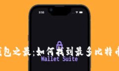 比特币钱包之最：如何找到最多比特币的钱包？