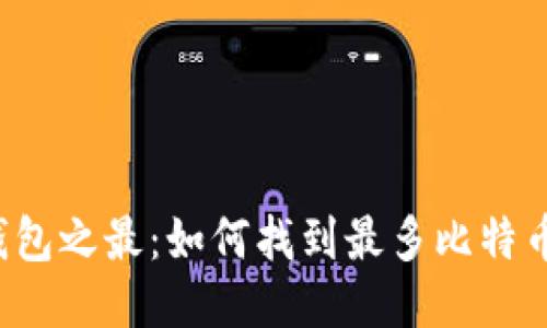 比特币钱包之最：如何找到最多比特币的钱包？