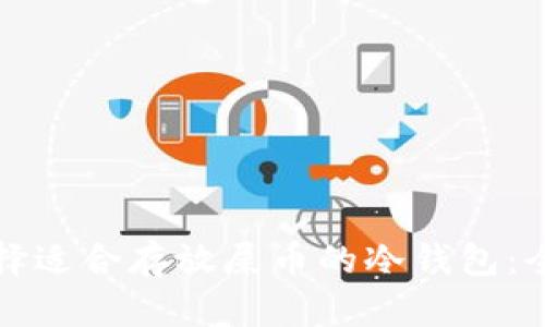 如何选择适合存放屎币的冷钱包：全面指南