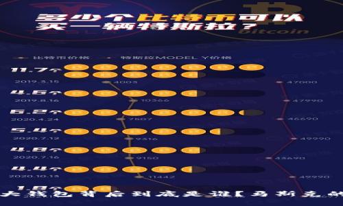 狗狗币最大钱包背后到底是谁？马斯克的角色分析