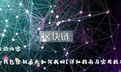 标记内容

tp钱包密钥丢失如何找回？详细指南与实用技巧