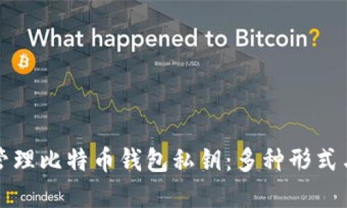 如何安全管理比特币钱包私钥：多种形式与最佳实践