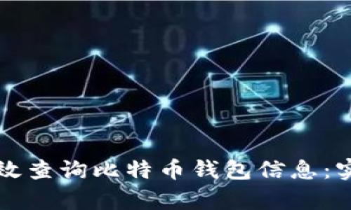 如何有效查询比特币钱包信息：实用指南